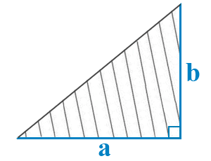Найти площадь прямоугольного треугольника через два катета.