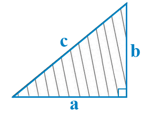 Найти площадь прямоугольного треугольника через катет и гипотенузу.