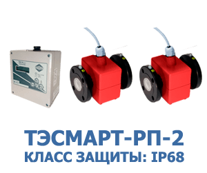 Сдвоенный ТЭСМАРТ-РП-2 (IP68)